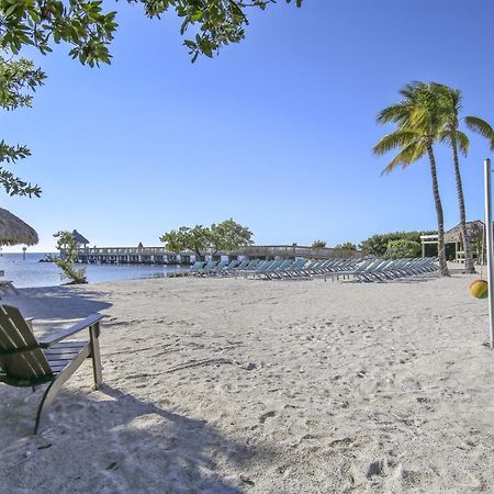 Vitamin Sea Tavernier Екстериор снимка