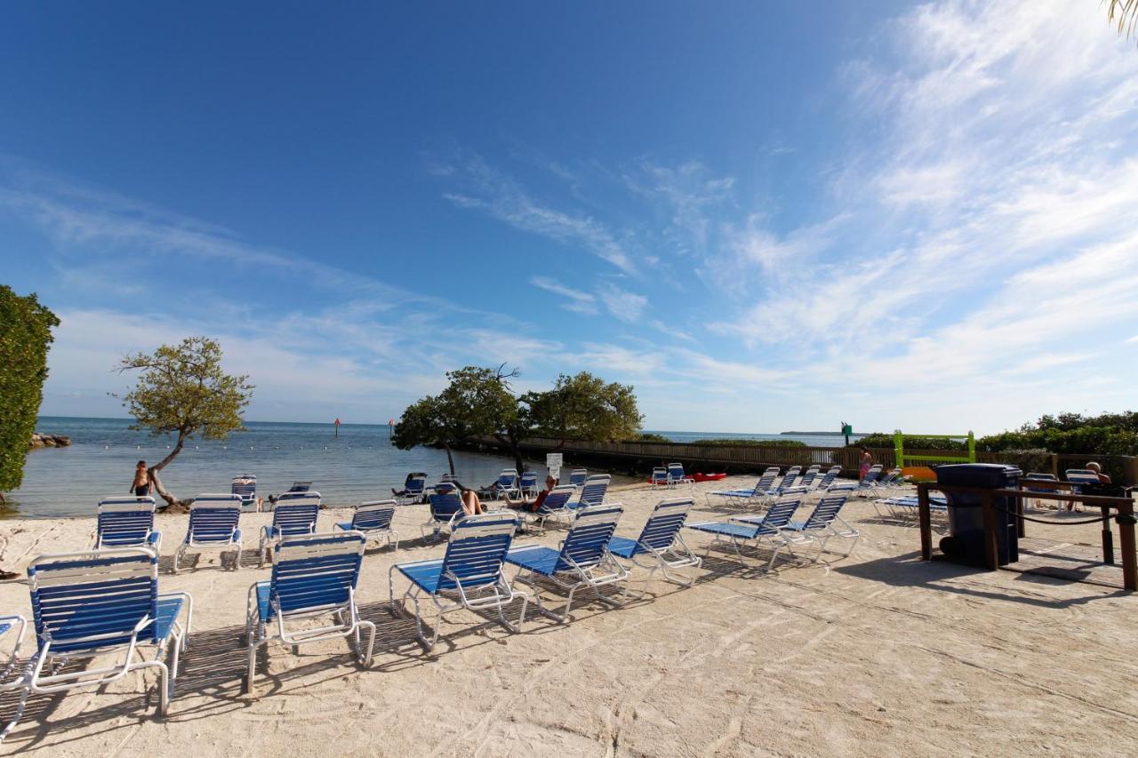 Vitamin Sea Tavernier Екстериор снимка